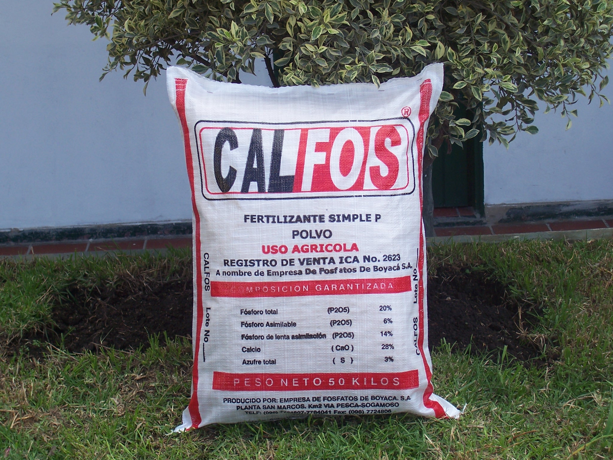 Calfos Polvo