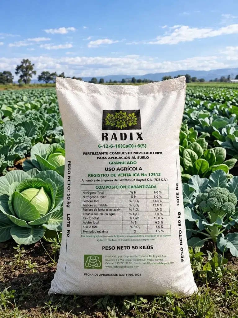 RADIX 6-12-6-16(CaO) 6(S)
